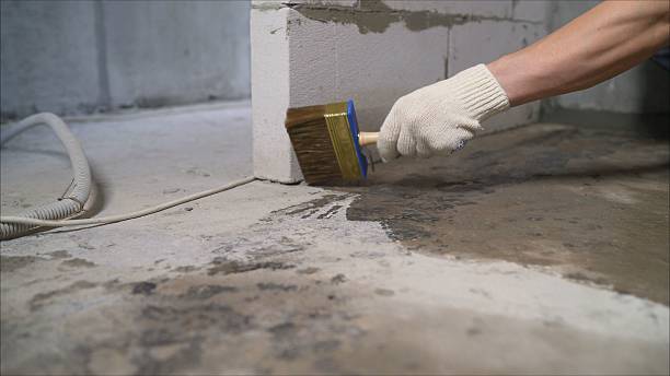 SJ Waterproofing Pros Waterproofing coverage map for Higginsport, OH and surrounding area